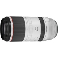 Canon[Lm] RF100-500mm F4.5-7.1 L IS USM