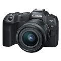 Canon[Lm] EOS R8RF24-50 IS STM YLbg